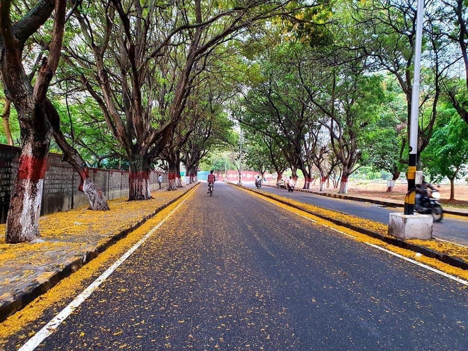 VishweshwarBhat's tweet photo. Bengaluru has regained her lost glory ! 

Thanks to lockdown ! https://t.co/Fwdq1bJexr