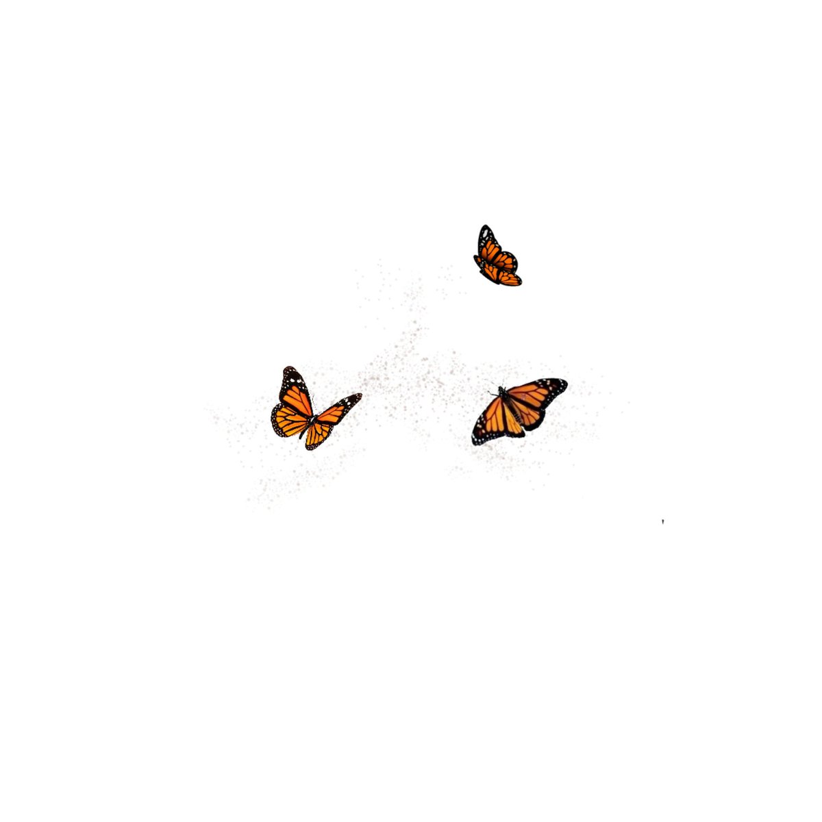 Ylona Garcia as colorful butterfliesa thread;
