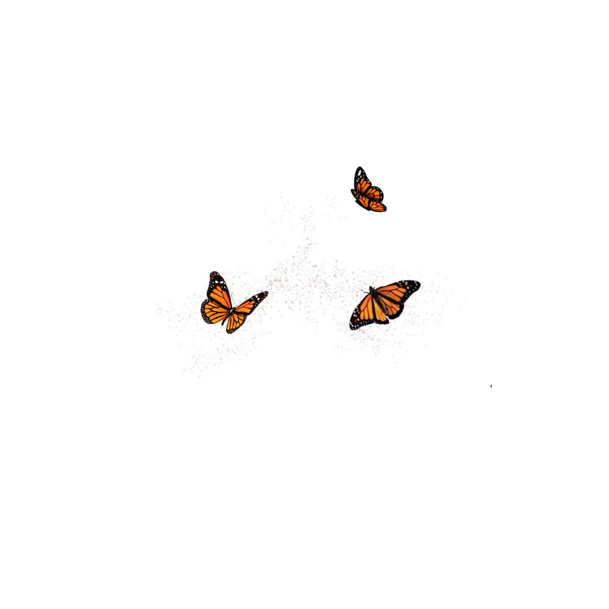🦋