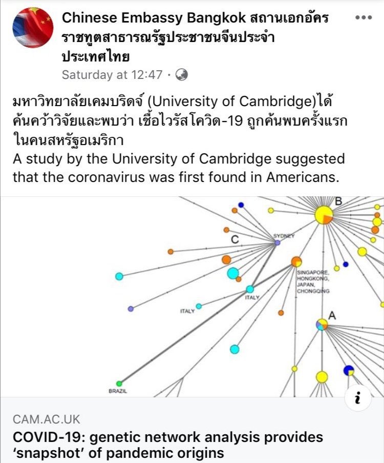 🐰🐢🐟🧸 tweet media