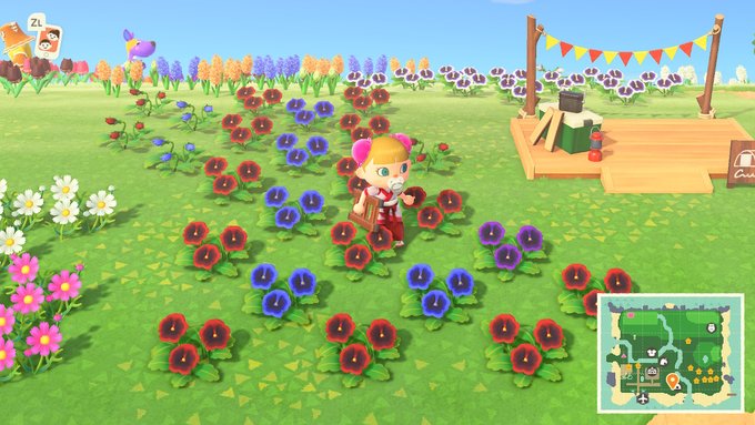 あつ森 レア花の交配は激ムズ 紫花の確率 6 青バラの確率 1 6 という衝撃の事実が明らかに あつまれどうぶつの森攻略 たぬきち速報