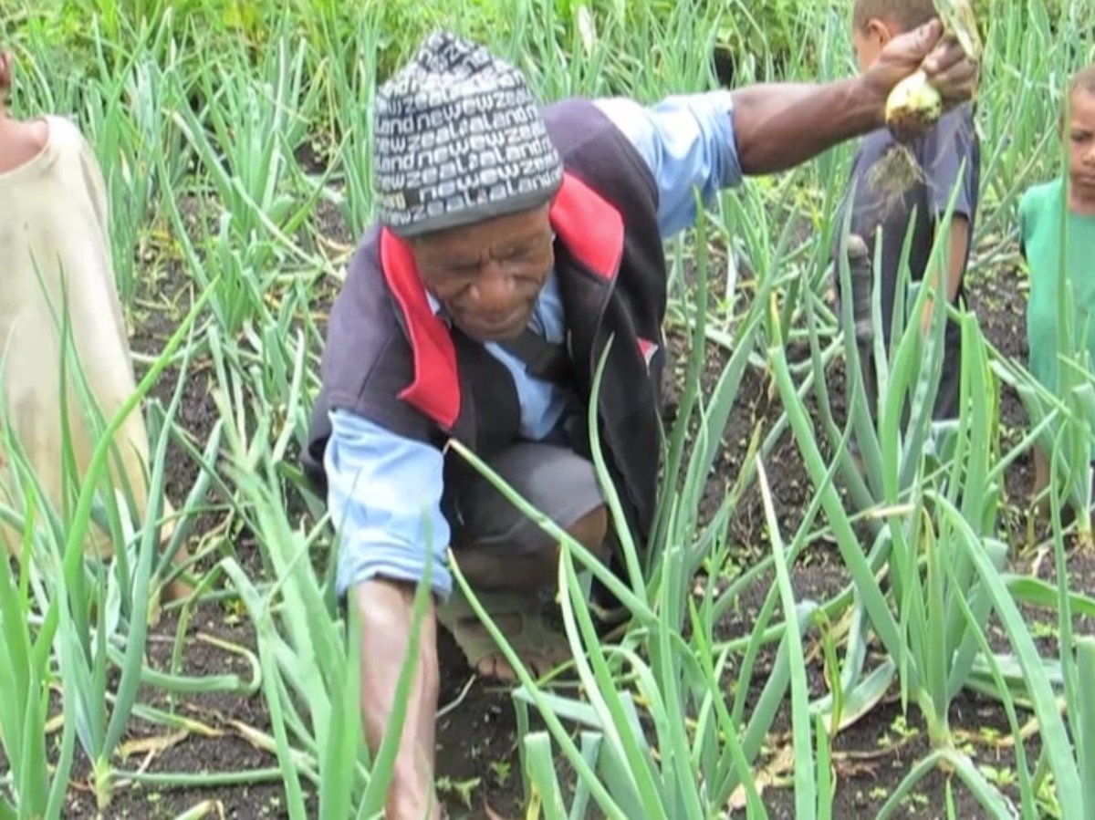 EMTVOnline's tweet photo. Enga Provincial Government will make available one million kina in the #NationalDevelopmentBank to take care of small farmers to farm.

https://t.co/I3Fz9JchID

#farming #epg #enga https://t.co/E0npgqXxxy