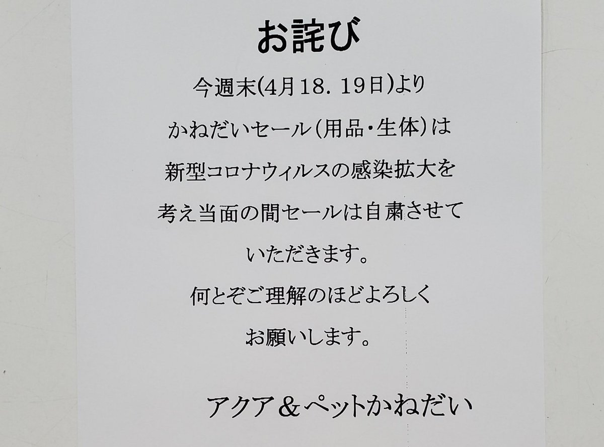 かねだい 海老名店 セール自粛のお詫び 今週末 4月18 19 よりかねだいセール 用品 生体 は新型コロナウイルスの感染拡大を考え当面の間セールは自粛させて頂きます 何卒ご理解のほど宜しくお願い致します