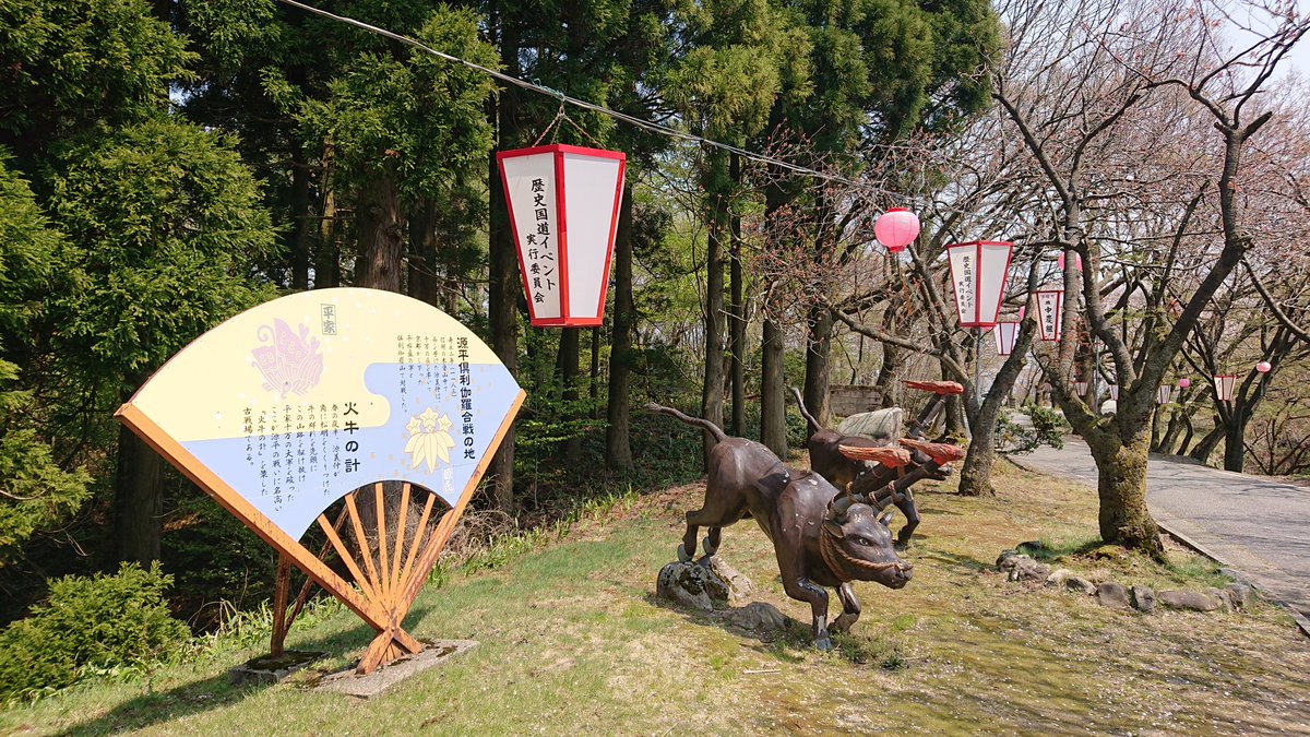 ট ইট র 義仲 巴プロジェクト 倶利伽羅古戦場にぼんぼり ちょうちんが取り付けられました 八重桜はまだつぼみが多いですが ところどころ咲き始めています 木曽義仲 巴御前 倶利伽羅 ぼんぼり 提灯 八重桜 歴史国道 火牛 源平 富山県 小矢部市