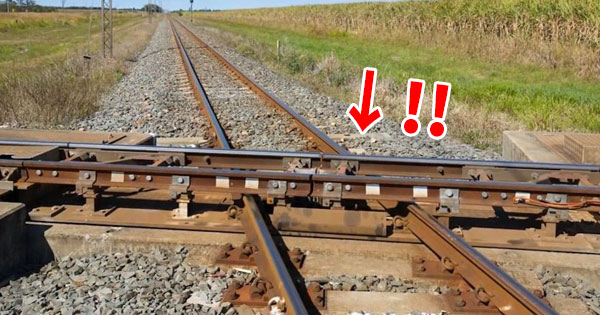 跳ね橋 Hashtag A Twitteren