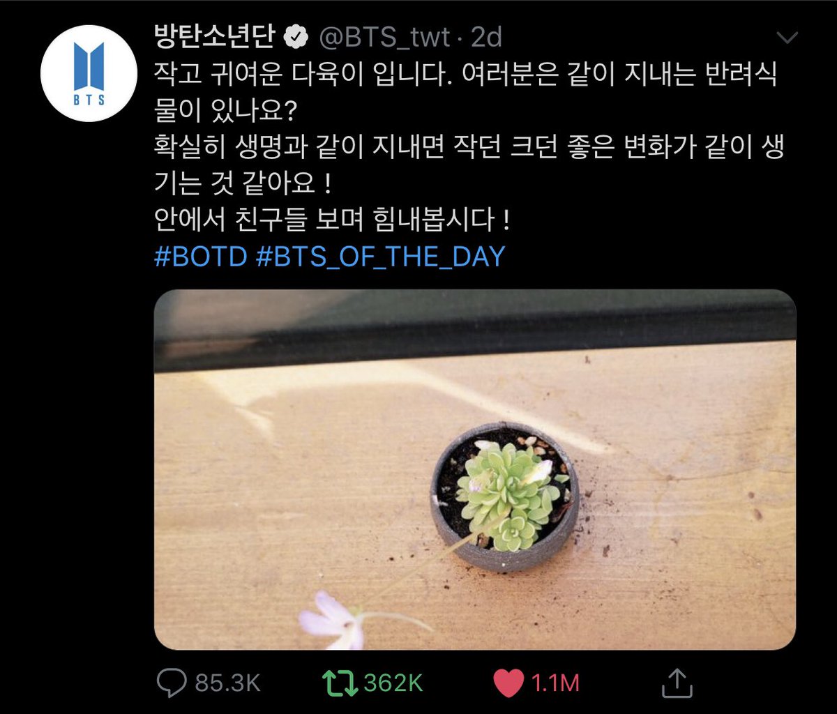 Namjoon's first #BOTD  #BTS_OF_THE_DAY  @BTS_twt