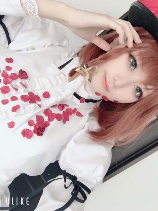 コスプレイヤー三色にゃんこのTwitter画像43