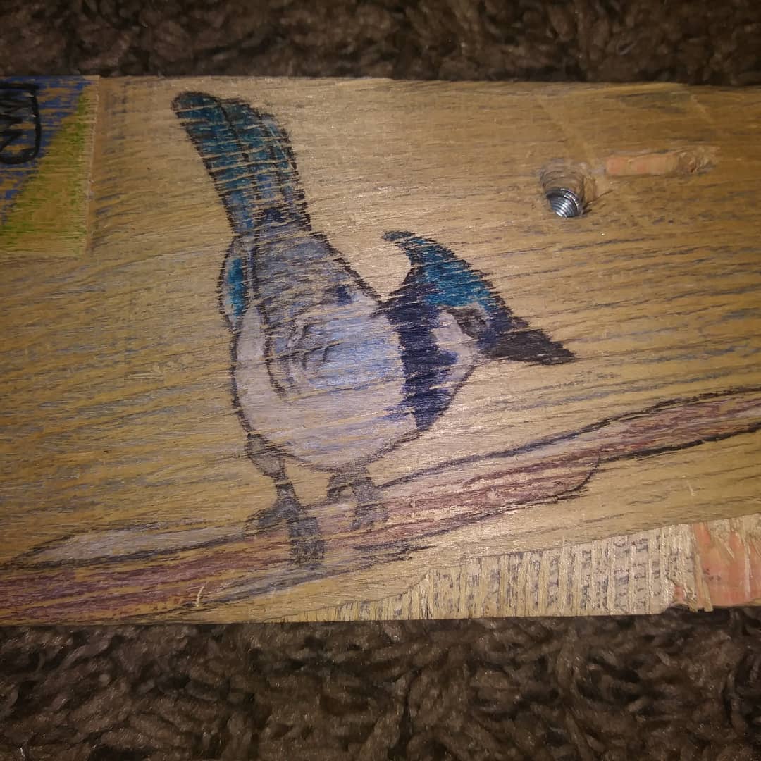AniyahLast3r's tweet photo. Just finished this lovely wood art that contains the following:a Black Wolf laying on a rock,Blue Jay standing on a tree branch, a Red Fox laying in a field of flowers, and my name 
I used many colors but if I could I would name them all 😂 . Also I will be hanging it up.Thank u https://t.co/OiUmru819L