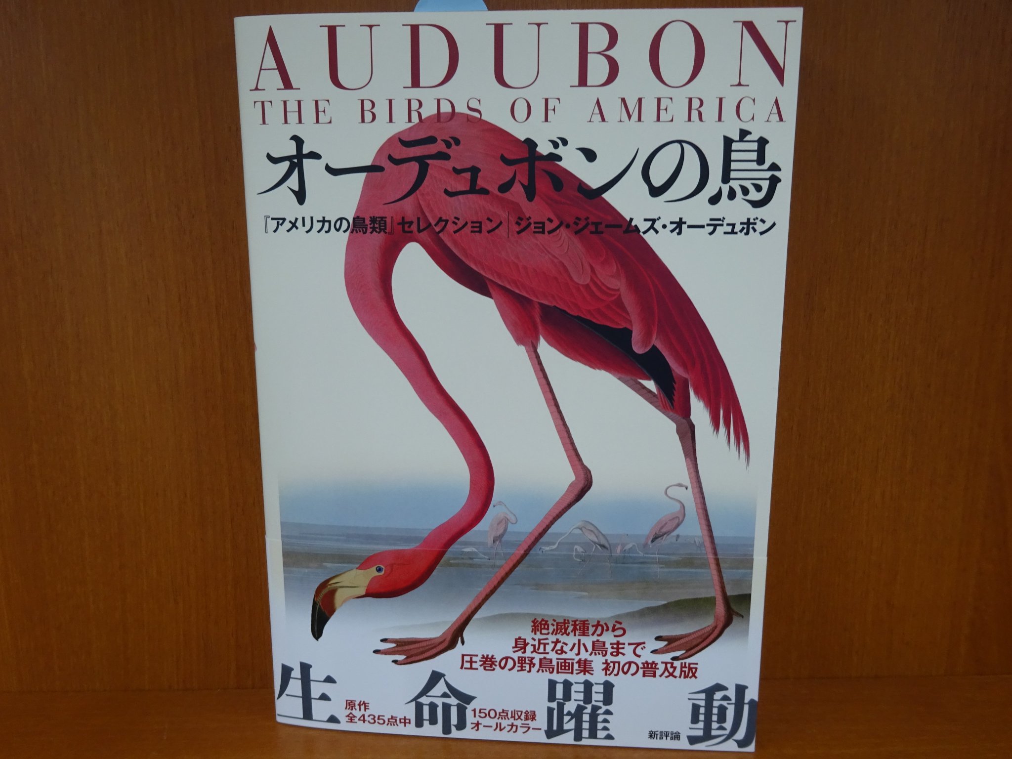 ট ইট র 精文館書店 本店3ｆ ジョン ジェームズ オーデュボン オーデュボンの鳥 新評論 入荷しました 19世紀アメリカの鳥類研究家 画家オーデュボンによる全435点の手彩色版画集から150点を精選 コンパクトサイズ オールカラーで複製し 鳥たちの