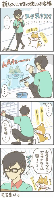 何かご用でも?

#もちもち #お客様困ります #しばいぬ #かまって 