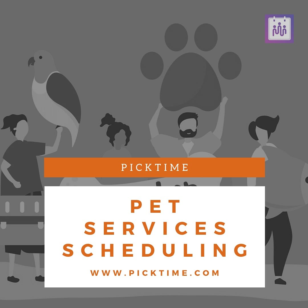 Best Pet Sitting Software @picktimein With our grooming business management software, manage your pet grooming business efficiently 
#pets #business #management  #book  #dog #cat #petlovers #pets #sme #startup #training #coaching  #smallbusiness #petshop #petsoflnstagram