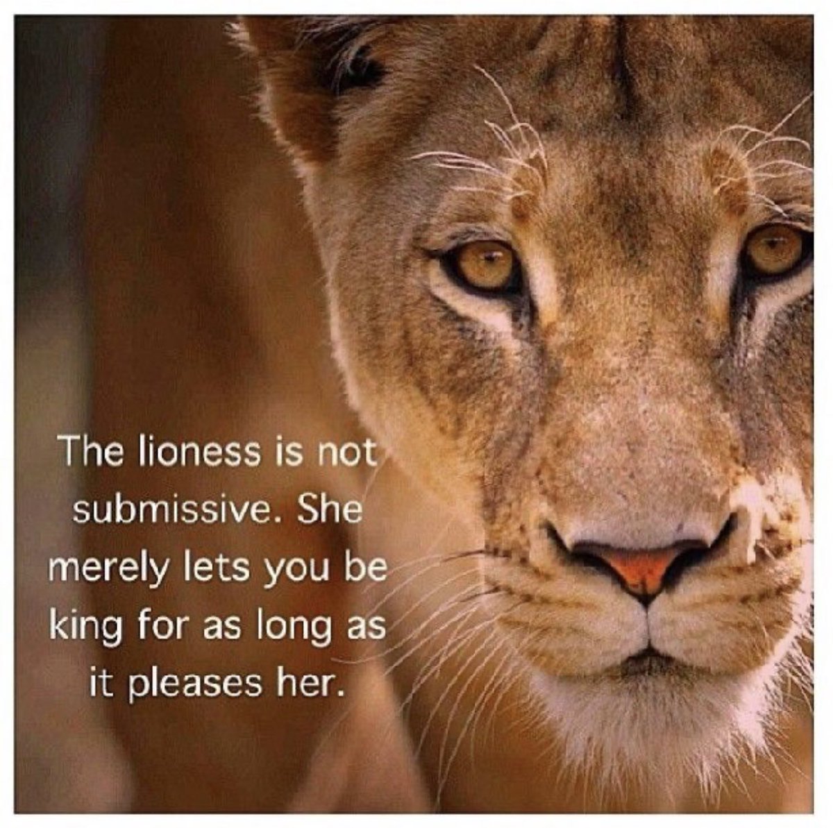 says_nix's tweet photo. ๐๐๐๐โค๏ธ #Balance #KnowThyself #DifferentSubstance #CreateYourReality https://t.co/C1B9XHZASW