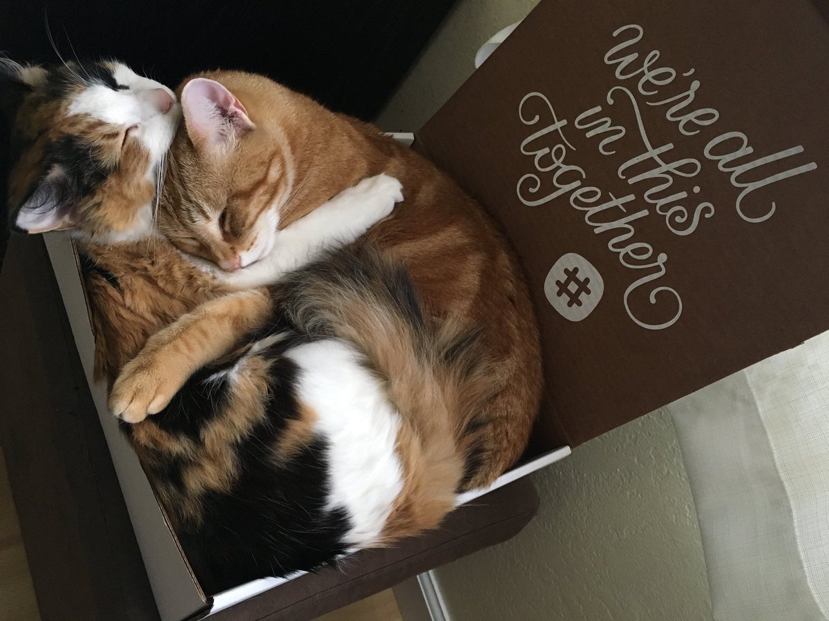 isdbuzz's tweet image. While you're learning to find what you need in different ways and places during quarantine, don't forget - we're here to help! Check out our updated website for new places to buy and more ways to save, because we're all in this together!

isdbuzz.com