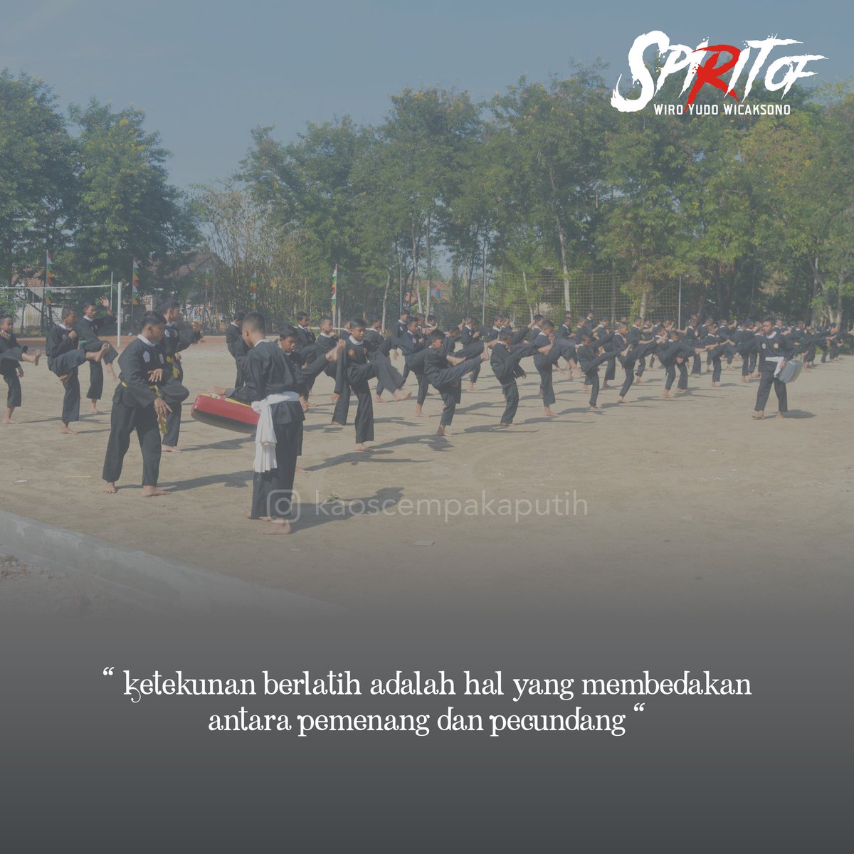 kaospscp's tweet image. TERUS BERLATIH LUR..

#pscp #wiroyudowicaksono