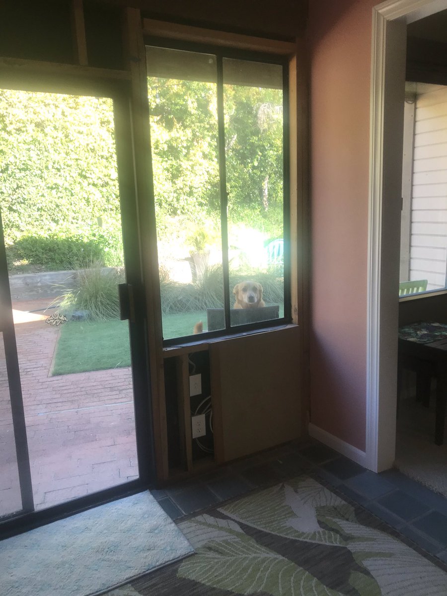 KyleFinger's tweet image. #dog #pleaseletmein #sunshine #sunnyday