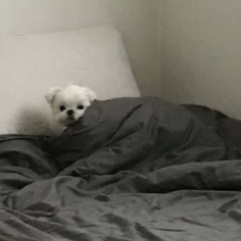 숨은 강민희 찾기