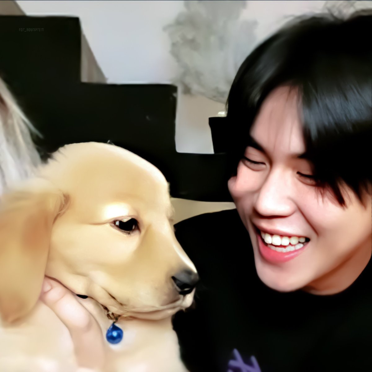 [] prem with puppies/dogs     ↬ a wholesome thread ୭̥⋆*｡