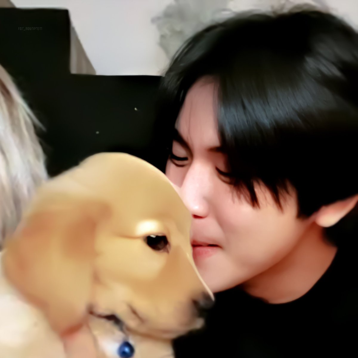 [] prem with puppies/dogs     ↬ a wholesome thread ୭̥⋆*｡