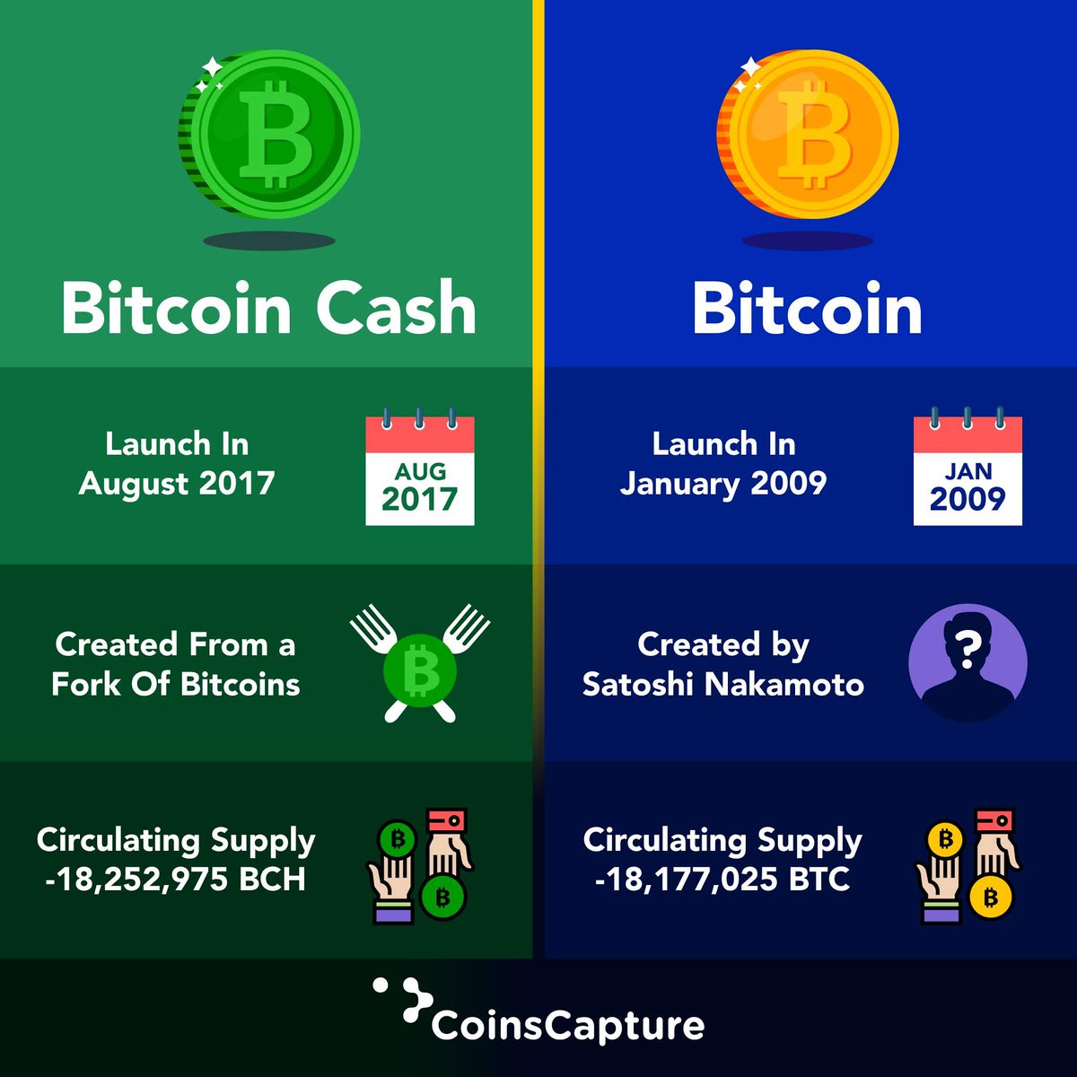 bitcoin vs bitcoin cash 2020 befektetés)