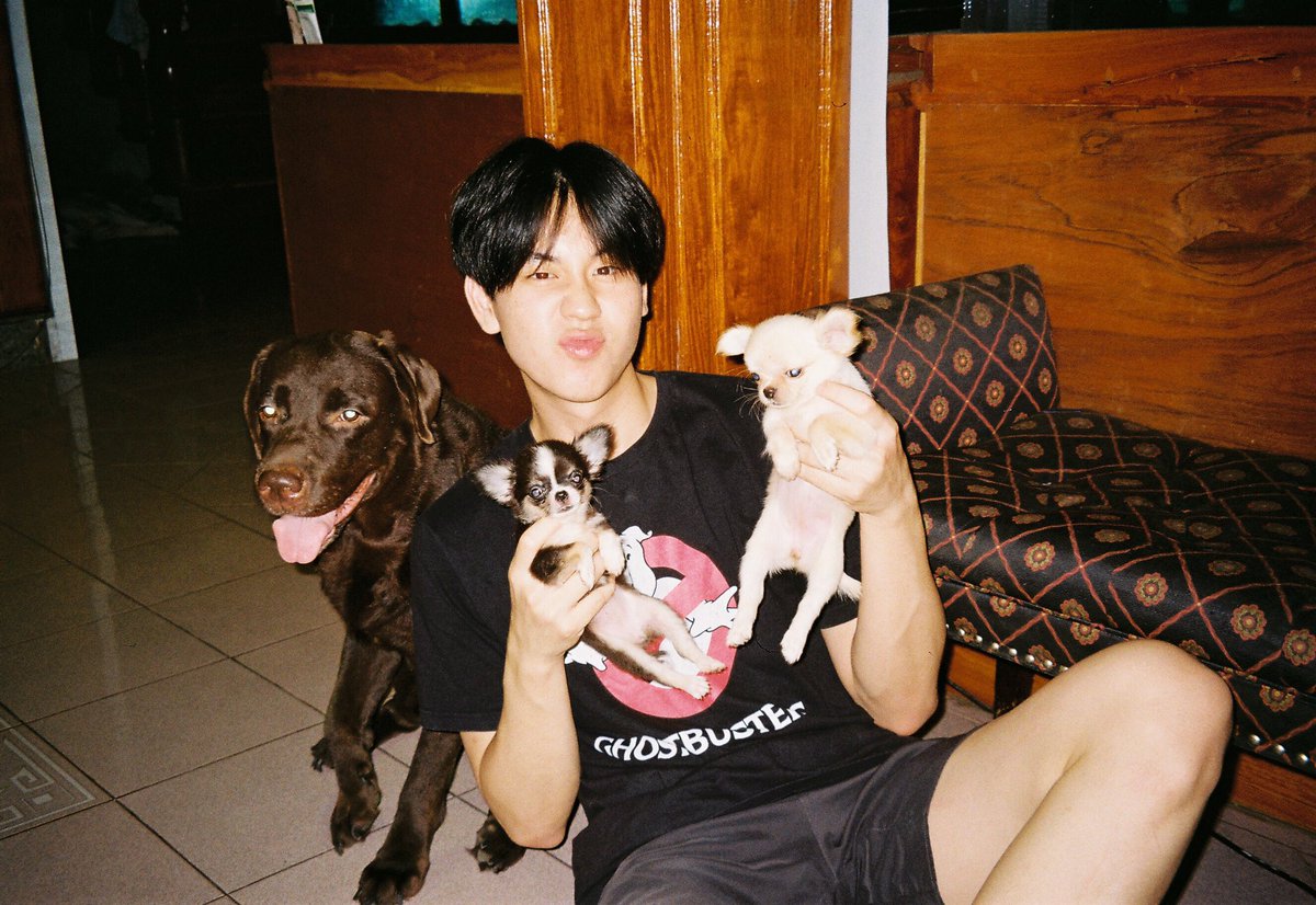 [] prem with puppies/dogs     ↬ a wholesome thread ୭̥⋆*｡