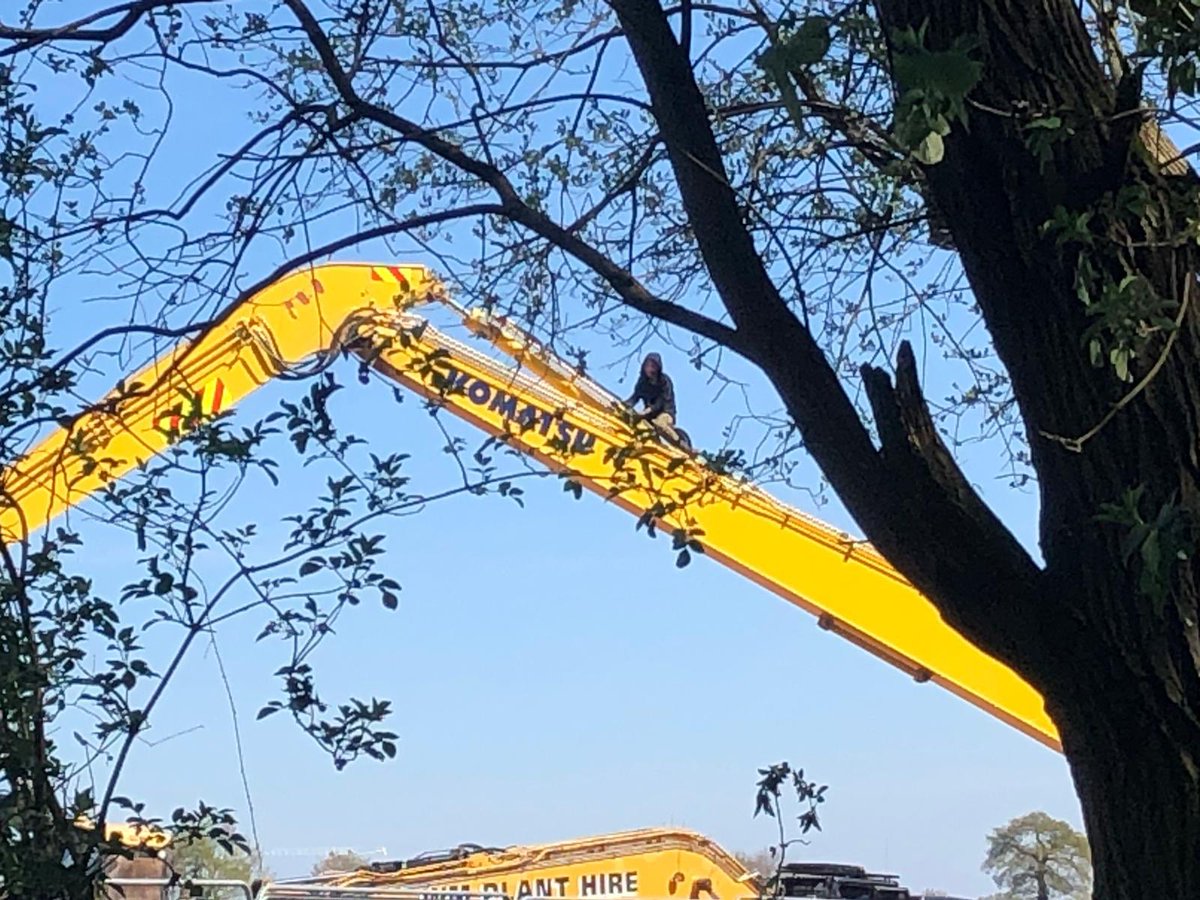 XRNottm's tweet image. Work stopped at Crackley Woods! Destruction of ancient woodland temporarily halted. #StandForTheTrees #NHSnotHS2