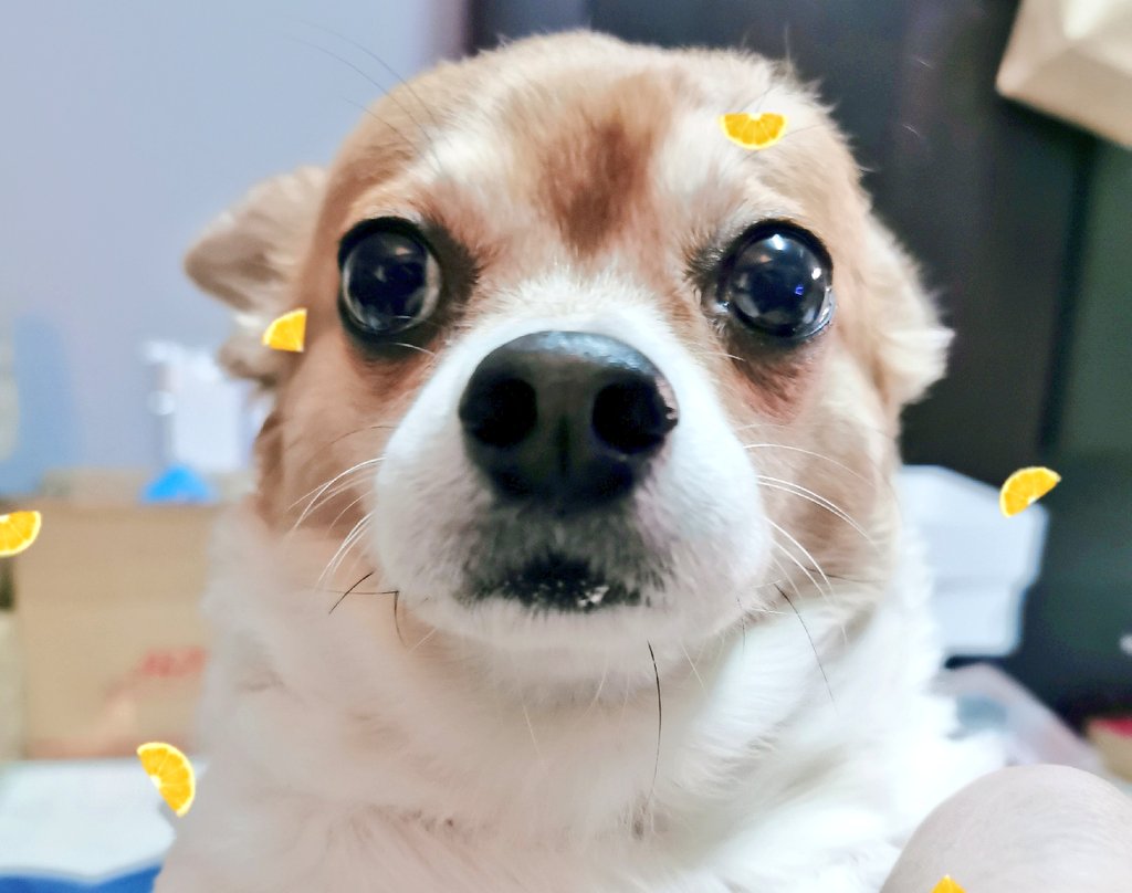 🐾ตี้แก้มตุ้ย✨รีพินให้ตี้!! tweet media