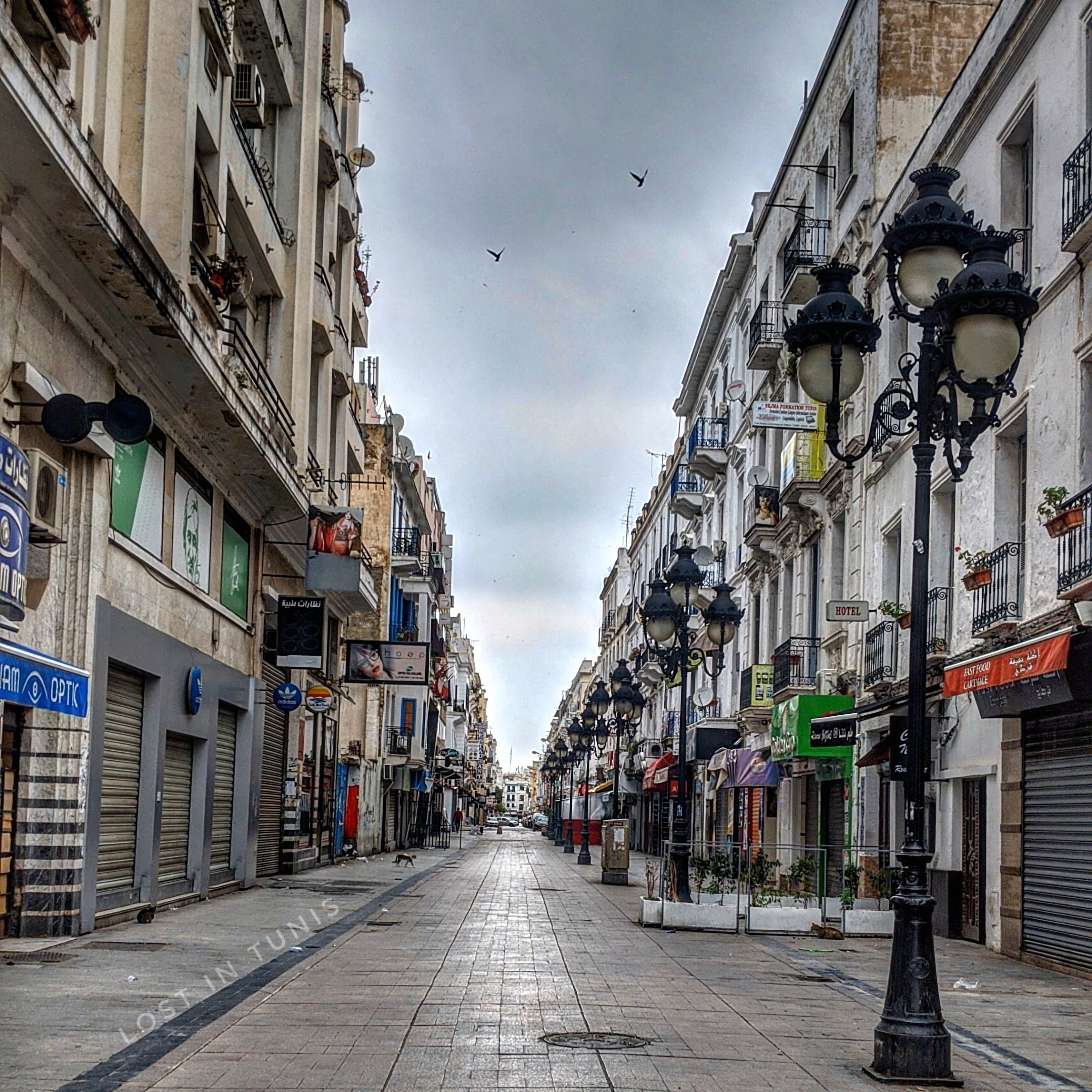 adidas rue de marseille tunis
