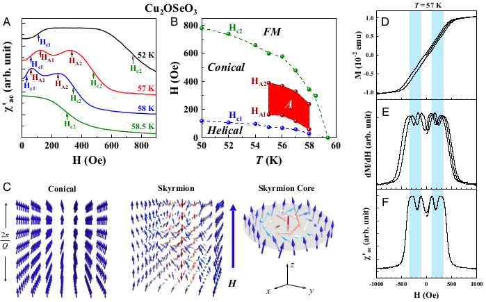 PhysMagnetism20's tweet image. #HighPressures increase the range of temperatures at which bulk Cu2OSeO3 exhibits #SkyrmionPhase. #MagnetoElastic interactions are crucial for stability of #Skyrmions.

Teams from: @TCSUH, @UH_NSM, #SunYatSen, @MIT_Physics, #NSRRC, @EPFL, @BerkeleyLab

pnas.org/content/early/…
