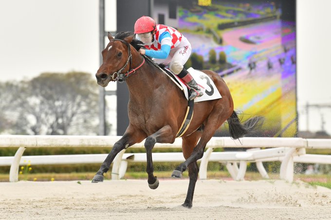 笠松競馬場さん の人気ツイート 1 Whotwi グラフィカルtwitter分析 笠松競馬場さん の人気ツイート 1 Whotwi グラフィカルtwitter分析