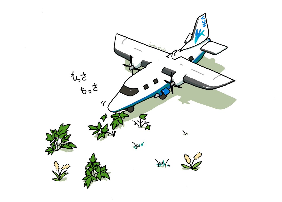 no humans vehicle focus airplane aircraft white background flower grass  illustration images