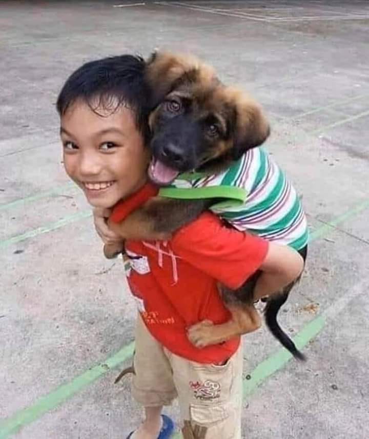 Tunç Erden Yakar 🏳️‍🌈 tweet media