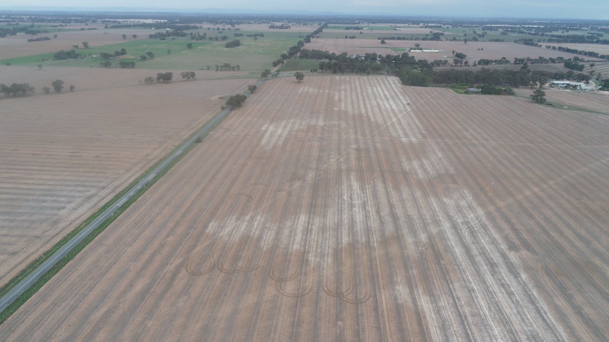 Rhys O'Sullivan tweet media