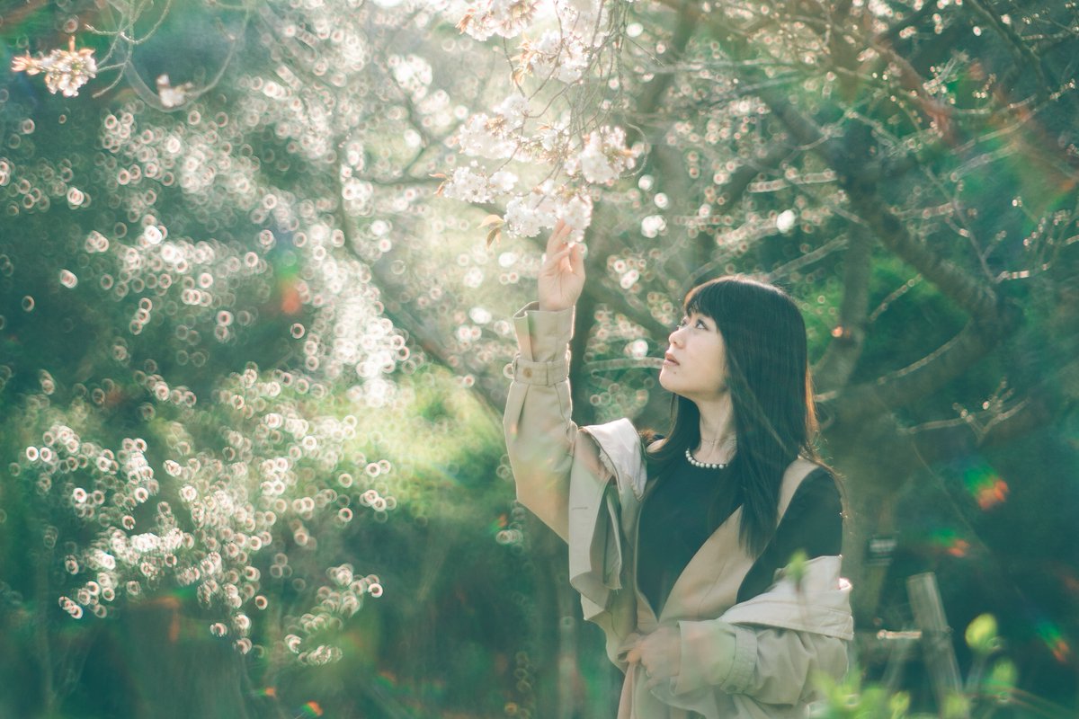 50d30141d33514's tweet photo. 🌳☀️😊
#Modifiedlens https://t.co/9QSR0maSIW