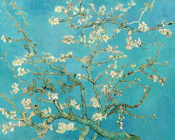 almond blossom
