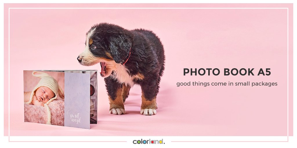 😍 A small thing but brings so much #joy! 😍🐶😍A5 Photo Book - a small format which will fit many of your #memories ! 📸😍
