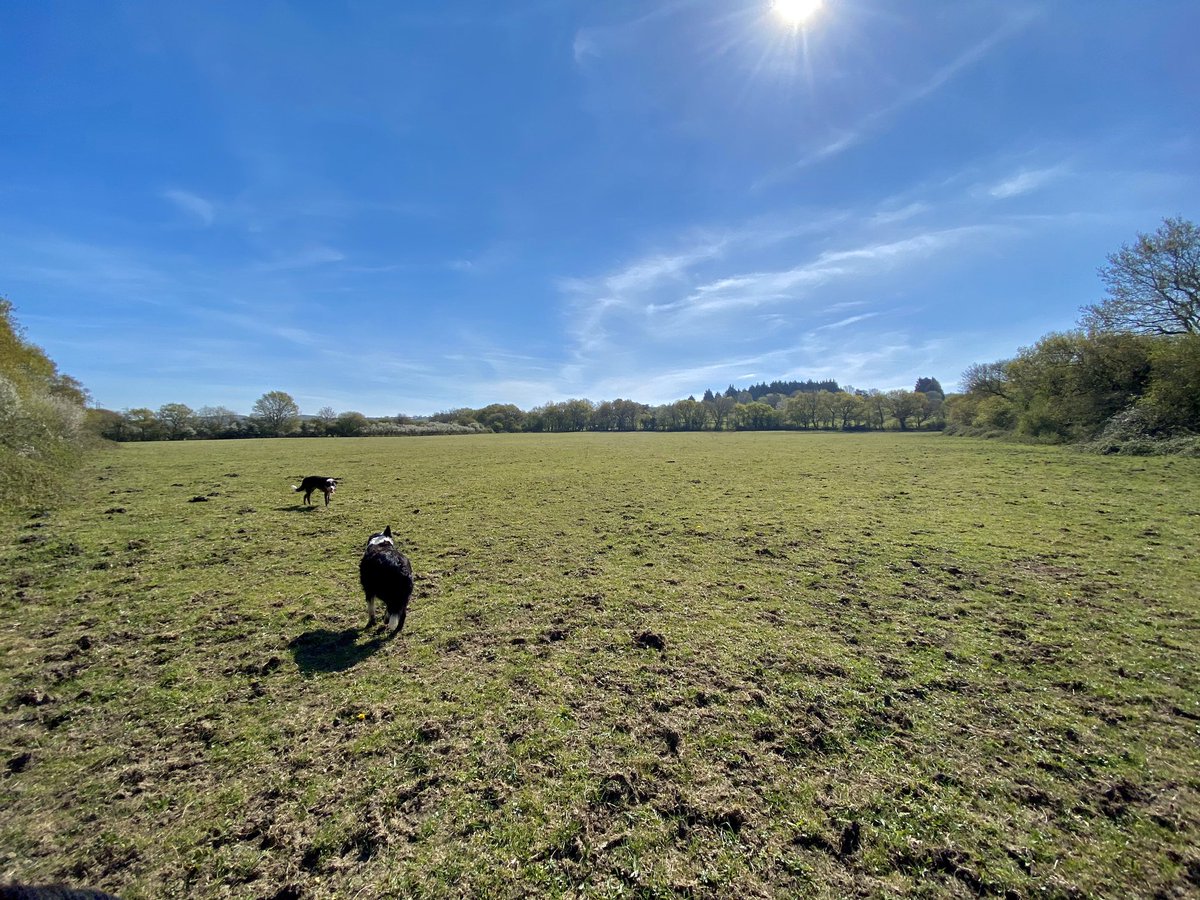 FarmerTanner1's tweet photo. need a little rain now just to dampen the ground to let the grass grow🌱🌦 #NeedGrass #Keepfarming #FarmingUk https://t.co/QZz9qxrXay