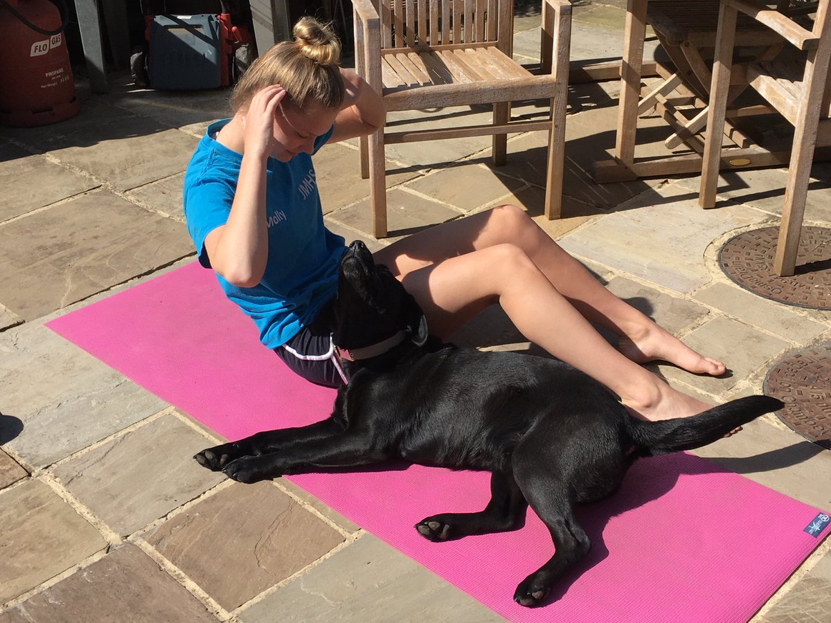 LucySchofield72's tweet photo. Dogs not helping with core strength exercises 🐕‍🦺🤣⁦@LedburySC⁩ #swimclubcore exercise #ledburyandmalvernswimming #dogssunbathing https://t.co/gYlCun5DrL