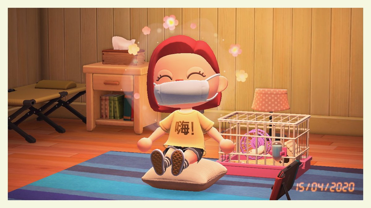 Hab mir nen Hamster gekauft owo #AnimalCrossing #ACNH #NintendoSwitch