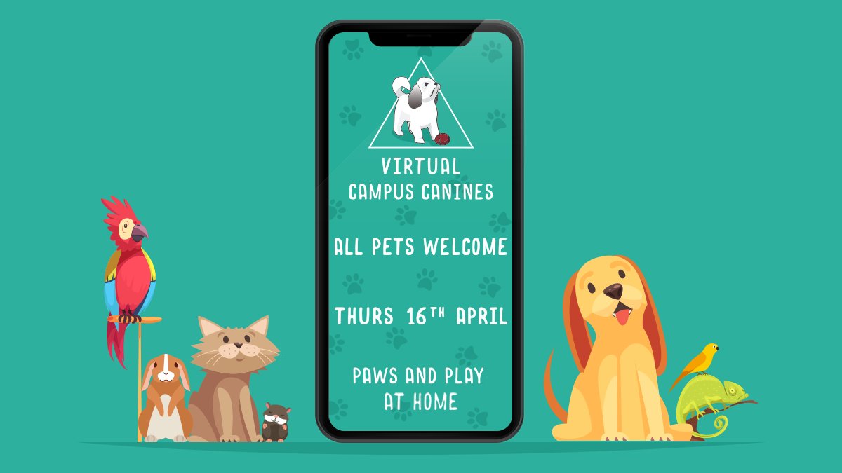 ✨TOMORROW✨
We may not be on campus to do this, but that doesn't mean we can't brighten people's day with the #powerofpets! 
This will be a very special version of Campus Canines, with an 'All Pets Edition'. 
Get ready to share your best pictures, we can't wait to see them👀🤞