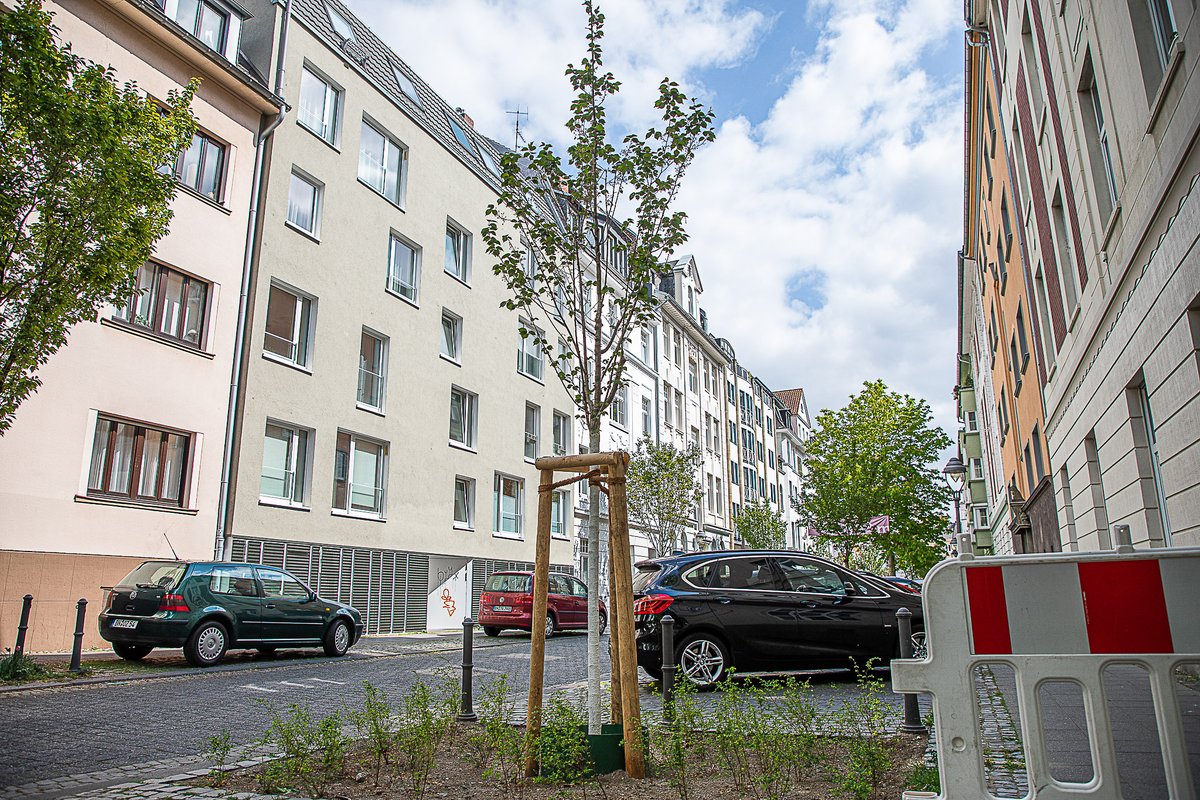 566 neue #Straßenbäume wurden seit Anfang vergangenen Jahres in #Bonn gepflanzt. Davon waren 462 Stück Ersatz für gefällte Bäume - rund 350 mehr als in den Vorjahren. 104 Bäume wurden an neuen Standorten gepflanzt. Die komplette Bilanz: bonn.de/pressemitteilu…