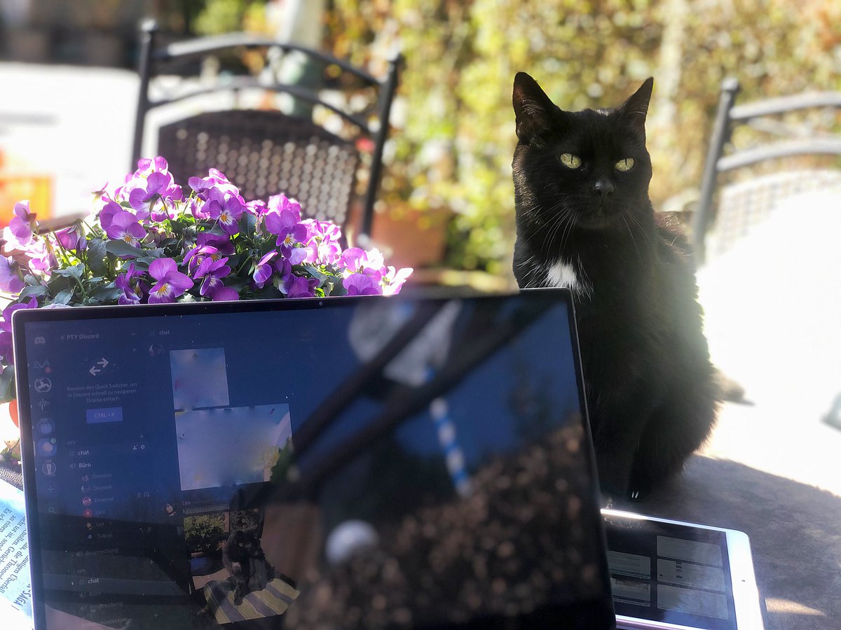 Portunity GmbH tweet media