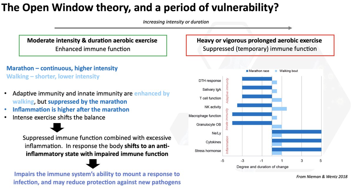 (4/) In this model, intense/long exercise negatively affects innate & adaptive immune function, & causes inflammation. None of this happens for walking. Result is a shift to an anti-inflammatory state, which impairs immune response to new pathogen. Hence = a vulnerable “window”.