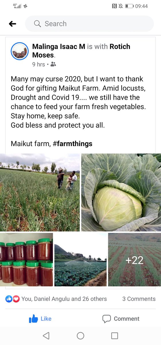 AVSIUganda's tweet photo. Amidst #Locust invasions and #COVID19UG pandemic our #SKYpartner #Maikut works hard to feed the nation. Way to go. #agriswagging in Kapchorwa. @SamotimRizzo @fobita Thinking beyond Covid. @MAAIF_Uganda @FondazioneAVSI https://t.co/0tT2OxITxn