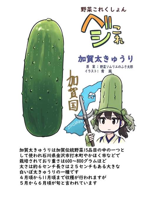 野菜これくしょん ベジこれ 第5弾 加賀太きゅうり編 1/2
今回も野菜ソムリエのふさ太郎さん 
@yukimifusa
との
合作でお送りいたします。 