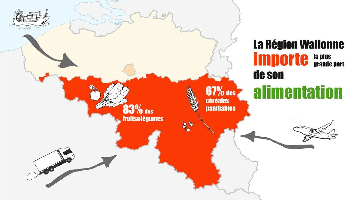 Nous importons 83% de nos fruits et légumes frais et 67% de nos céréales panifiables en Wallonie-Brux. Il est urgent de relocaliser nos systèmes alimentaires! #JeSoutiensLesPaysanNEs #17Avril2020 #RestezChezVousMaisPasEnSilence reclaimhumanrights.net/17avril/