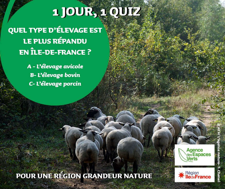 idfnature's tweet photo. 1 JOUR,1 QUIZ
Semaine de #confinement5 ! L’AEV continue de vous proposer de parfaire vos connaissances sur la nature ! Un livre d'activité sur le monde forestier sera envoyé aux 3 personnes qui auront trouvé la réponse ! L’envoi sera fait après la période de confinement. https://t.co/rXHb9mNaG1