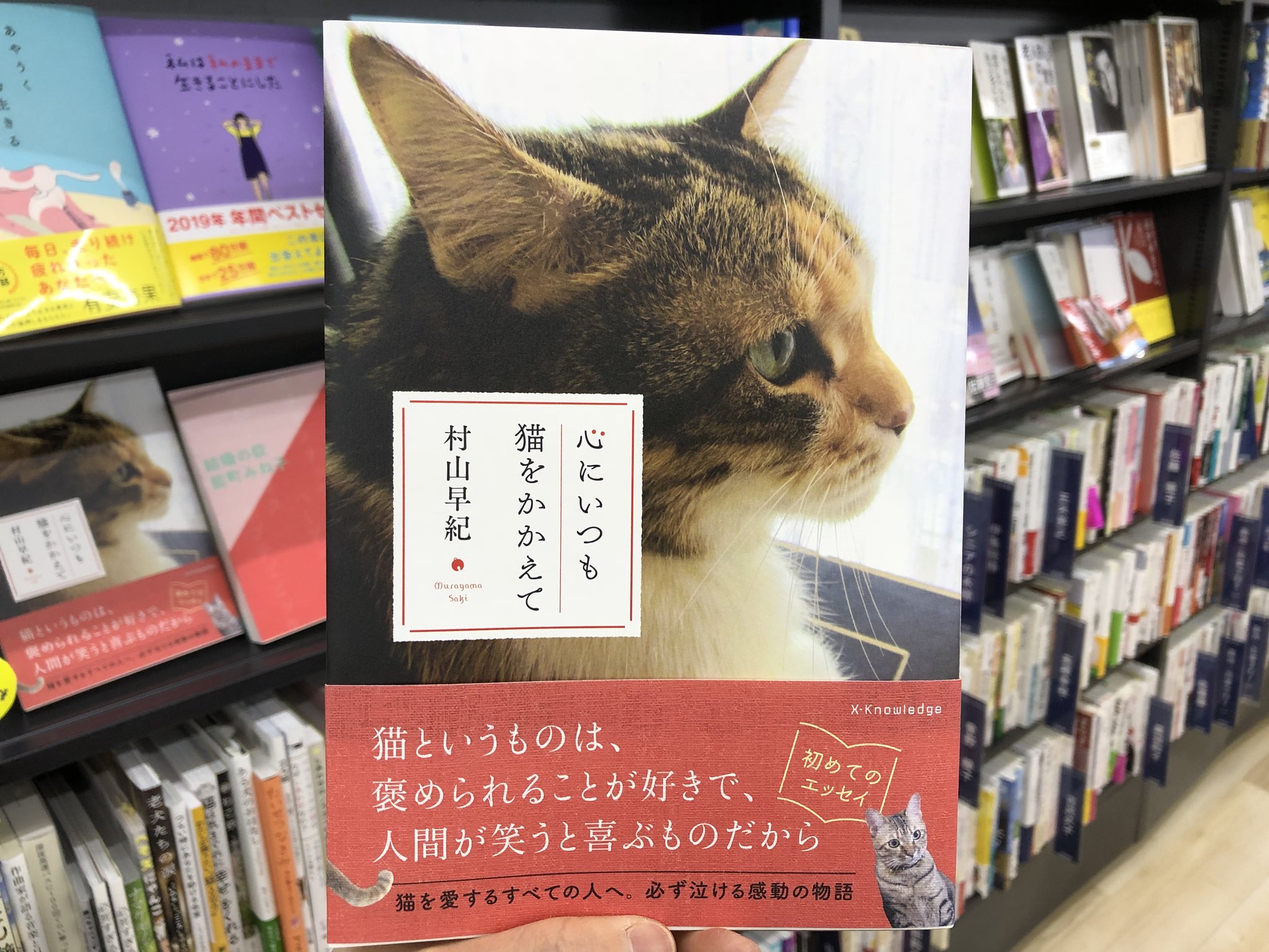 ট ইট র 金龍堂まるぶん店 書籍のご案内 猫を愛するすべての人に贈る 感動の物語 村山早紀 著 エクスナレッジ 心にいつも猫をかかえて 作家 愛猫家として知られる村山早紀さん初めてのエッセイ 短編小説集 可愛らしい猫たちのカラー写真と