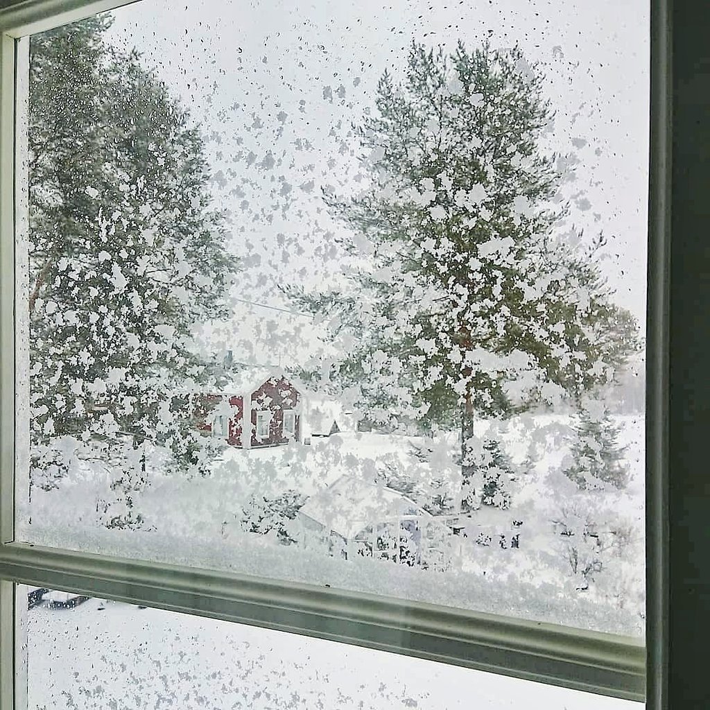 ThereseHenriks's tweet photo. Så, då var det vår igen! Trots mängder av nysnö de senaste dagarna. Och nya små får också. 🐑 💕 https://t.co/0ymPS5aPGM