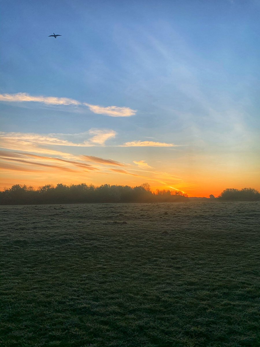 romfordrunner's tweet image. 6.5 miles run before 7am, best way to start the day! #6amrun #6amclub #surise #ukrunchat