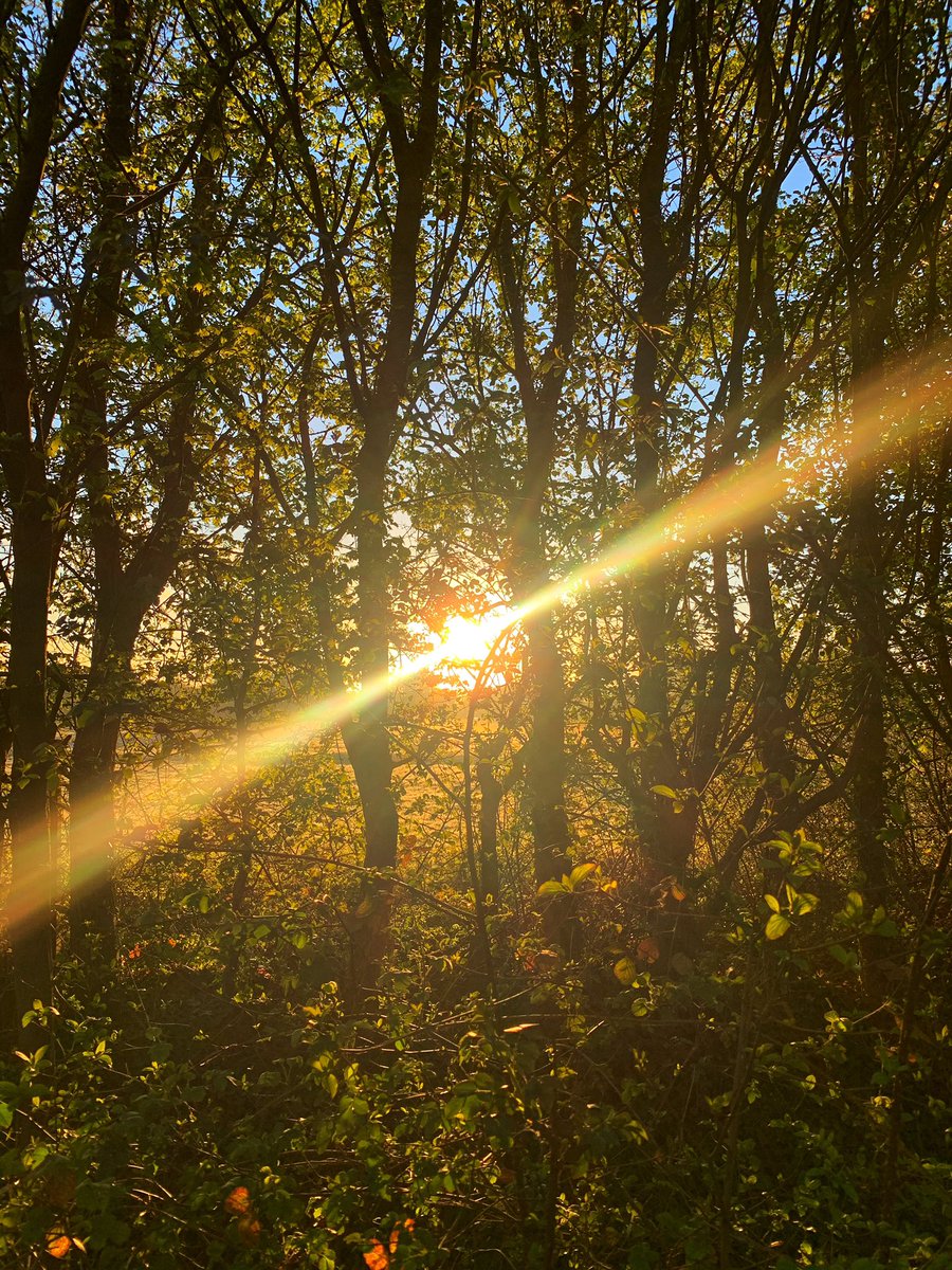 romfordrunner's tweet image. 6.5 miles run before 7am, best way to start the day! #6amrun #6amclub #surise #ukrunchat